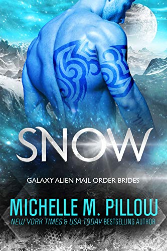 Snow book cover