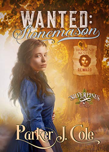 Stonemason (By: Parker J. Cole) cover