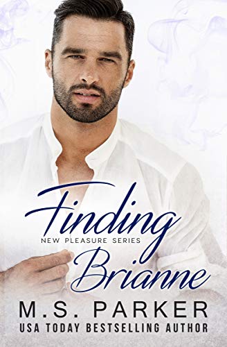 Finding Brianne book cover