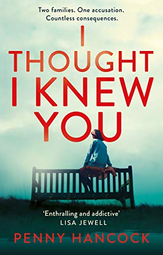 I Thought I Knew You book cover