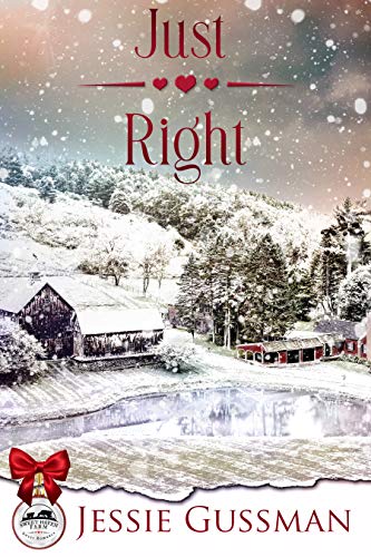 Just Right book cover