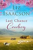 Last Chance Cowboy Last Chance Ranch Book 2