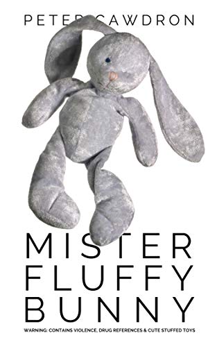 Mister Fluffy Bunny book cover