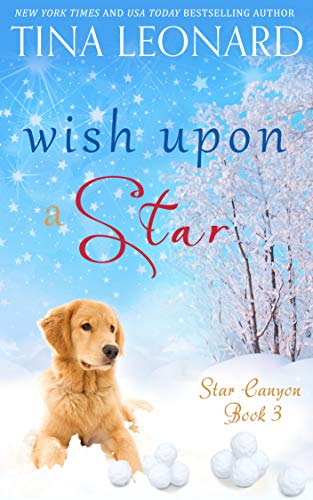 Wish Upon a Star book cover