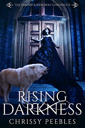 Rising Darkness book cover