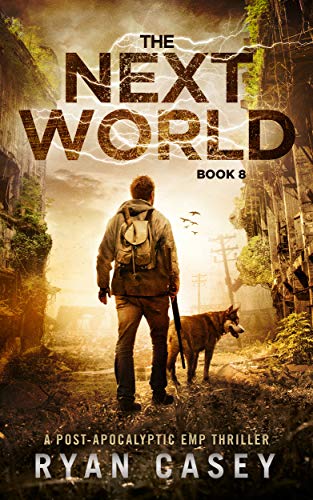 The Next World book cover