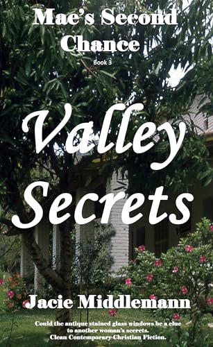 Valley Secrets book cover