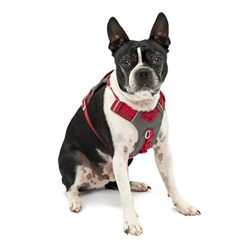 Kurgo Journey Air Dog Harness - Secure Fit for Active Dogs - Padded Chest - Lightweight Ripstop Fabric - Breathable Mesh - Reflective Trim - Back Assist Handle - Red - Small
