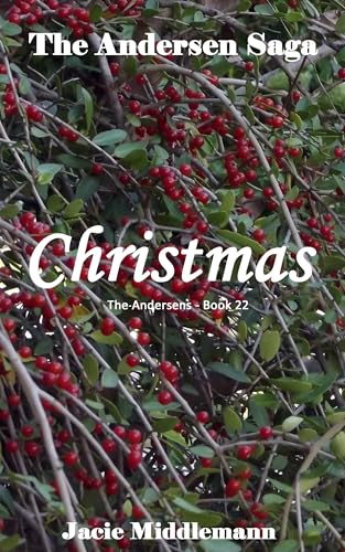 Christmas book cover
