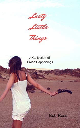 Lusty Little Things book cover