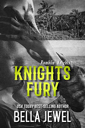 Knights Fury book cover