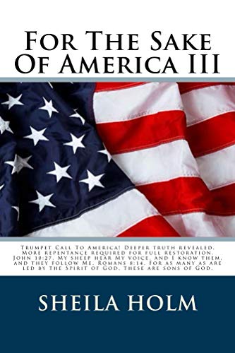 For The Sake Of America III book cover