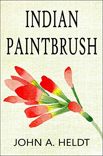Indian Paintbrush book cover