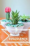 The Essential Guide To Succulents