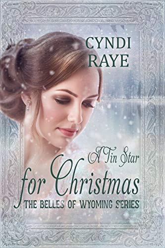 A Tin Star for Christmas book cover