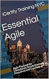 Essential Agile Agile Playbook For Consultants Scrum Masters Executives And Coaches English Edition