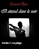 Il Attend Dans Le Noir 1 Le Pige Livre Rotique Fantastique Romance Adulte Paranormal Bdsm Domination Soumission