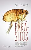 Parsitos Ensayo