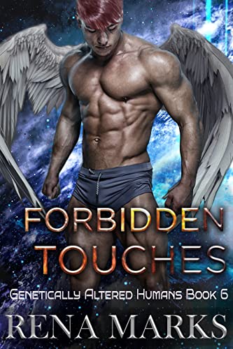 Forbidden Touches book cover