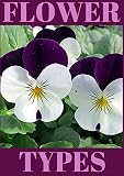 Flower Types Nonfiction Architecture Annuals