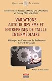 Variations Autour Des Pme Et Entreprises De Taille Intermdiaire Mlanges En Lhonneur Du Professeur Grard Hirigoyen Questions De Socit
