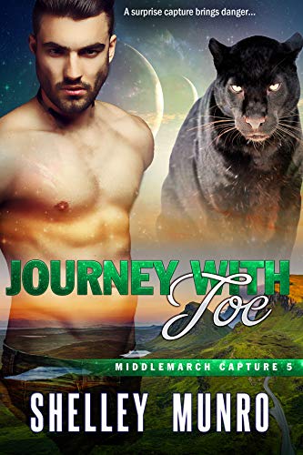 Journey with Joe book cover
