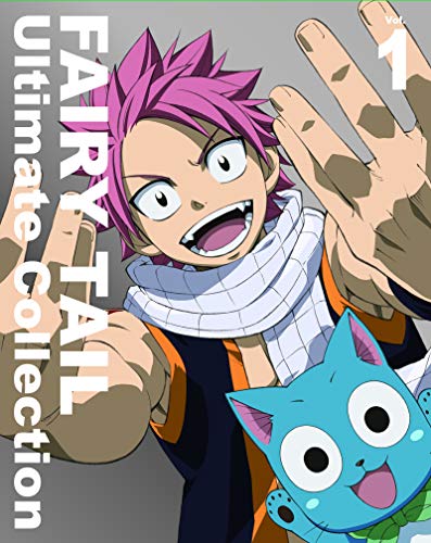 Fairy Tail フェアリーテイル ファイナルシリーズ の動画配信情報