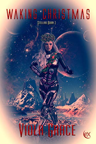 Waking Christmas book cover