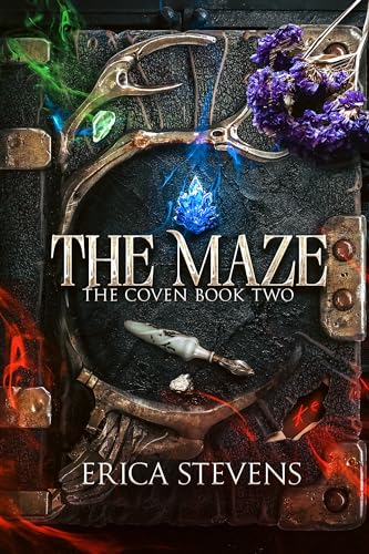 The Maze book cover