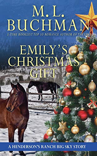 Storm's Gift book cover