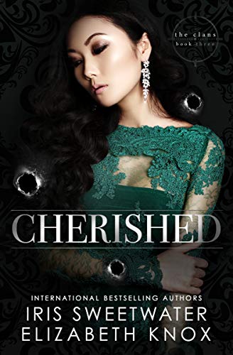 Cherished book cover