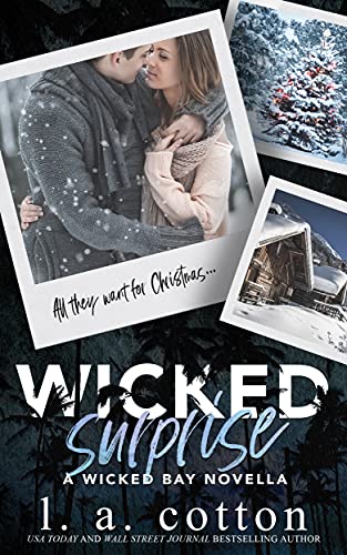Wicked Surprise book cover