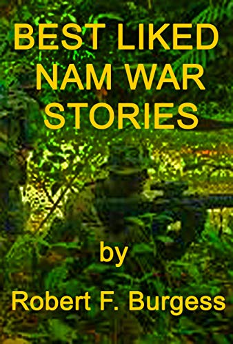 Best Liked Nam War Stories book cover