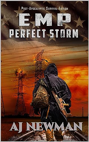 Perfect Storm book cover