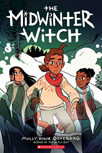 The Midwinter Witch book cover