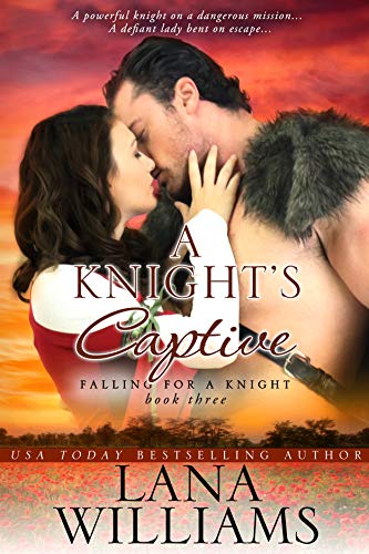 A Knight's Captive book cover
