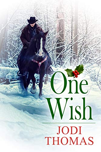 One Wish book cover