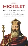 Histoire De France Tome 1 La Gaule Les Invasions Charlemagne