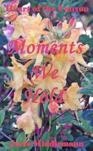 Moments We Hold book cover