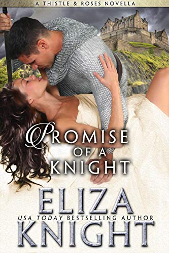 Promise of a Knight book cover