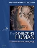The Developing Human Ebook Clinically Oriented Embryology