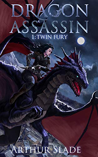 Twin Fury book cover