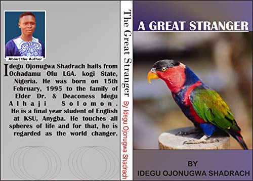 A Great Stranger book cover