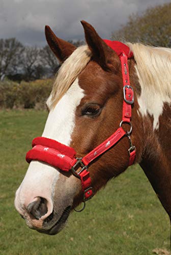 Rhinegold Logo Headcollar fleece trim - Full - Red
