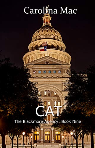 Cat book cover