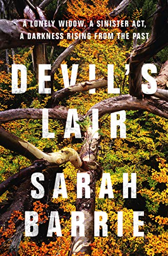 Devil's Lair book cover