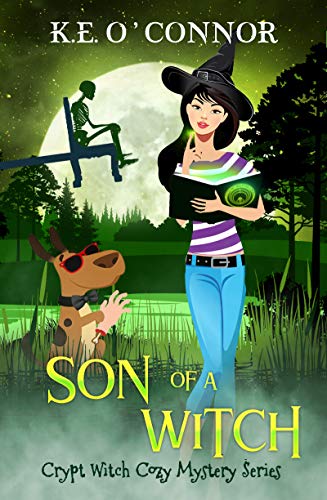 Son of a Witch book cover