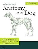 Miller And Evans Anatomy Of The Dog Ebook English Edition
