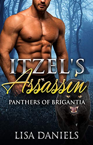Itzel's Assassin cover