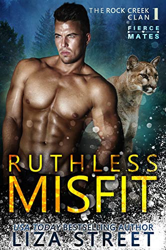 Ruthless Misfit book cover